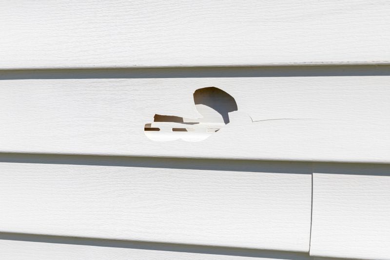 Siding Repair Close-up